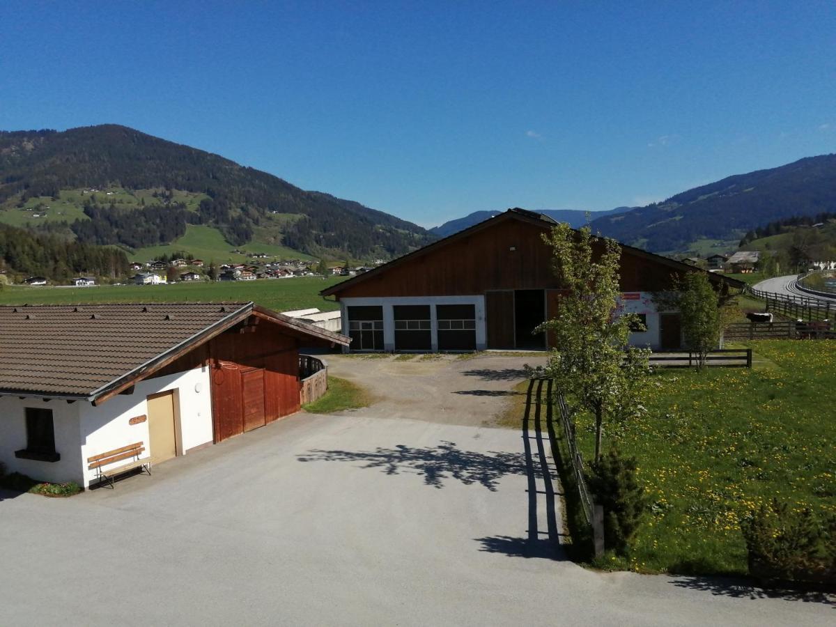 Landhaus Fingerhof 플라차우 외부 사진